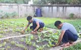 Mâm ngũ quả đặc biệt của lính Trường Sa trong ngày Tết